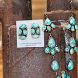 Sonoran Cluster Set by Debra Smith