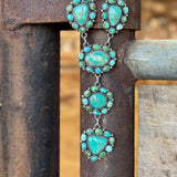 Sonoran Cluster Set by G. James