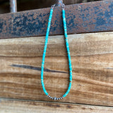 Turquoise and Spiny Necklaces